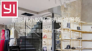 小蚁