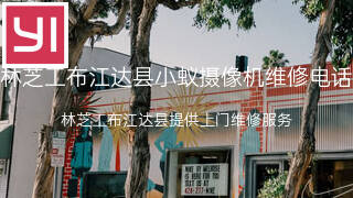 小蚁