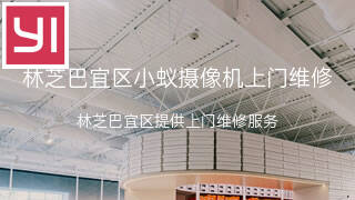 小蚁
