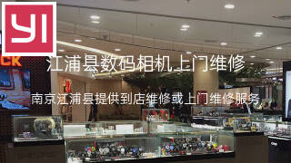 小蚁