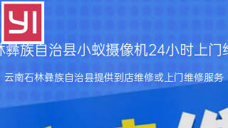 小蚁