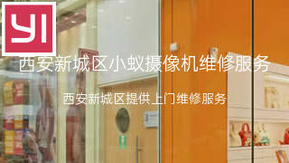 小蚁