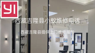 小蚁