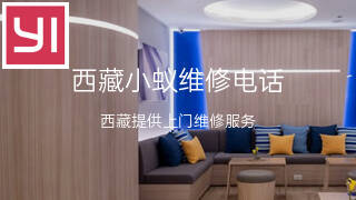 小蚁