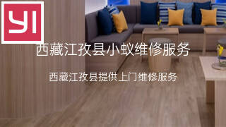 小蚁
